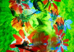 Pop-Up-Garden_01_© Salon Stolz - Edi Haberl