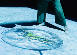 Pop-Up-Garden_04_© Salon Stolz - Edi Haberl