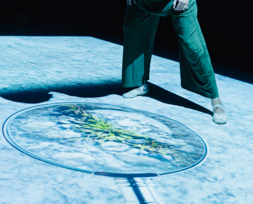 Pop-Up-Garden_04_© Salon Stolz - Edi Haberl