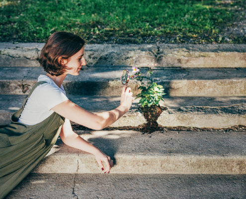 Pop-Up-Garden_08_© Salon Stolz - Lex Karelly